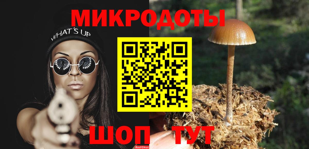 Псилоцибиновые грибы мицелий Орёл